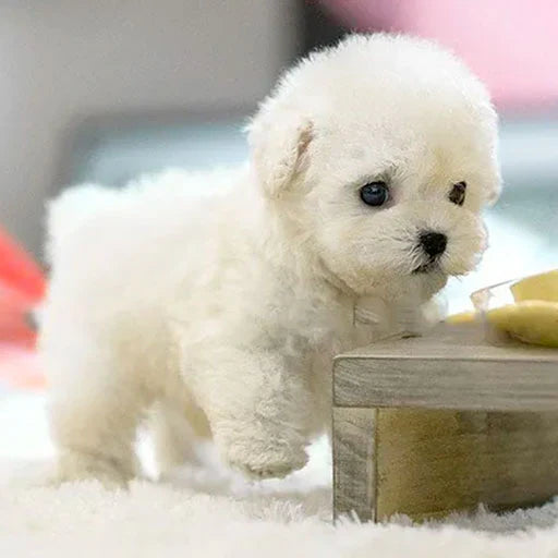 【Official Store】🐶🔥 The Most Realistic Robot Puppy Ever! Last Chance for Exclusive Discount! 🕒